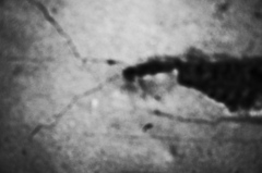 R0050503