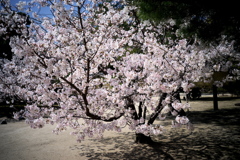 DSC04701clrSLK