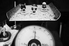 R0030081