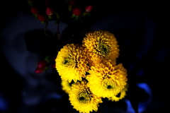 DSC04025clrSLK