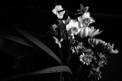 DSC00839bwSLK