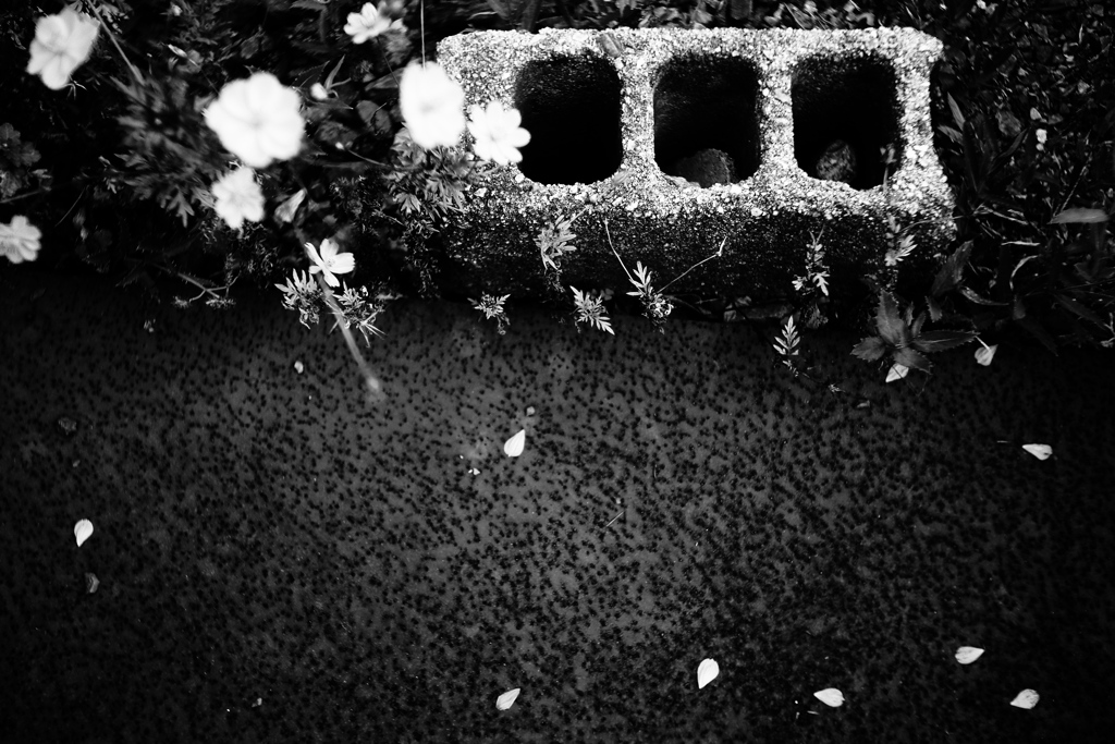 DSC09298bwSLK
