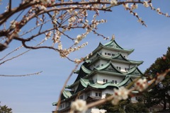 梅と名古屋城