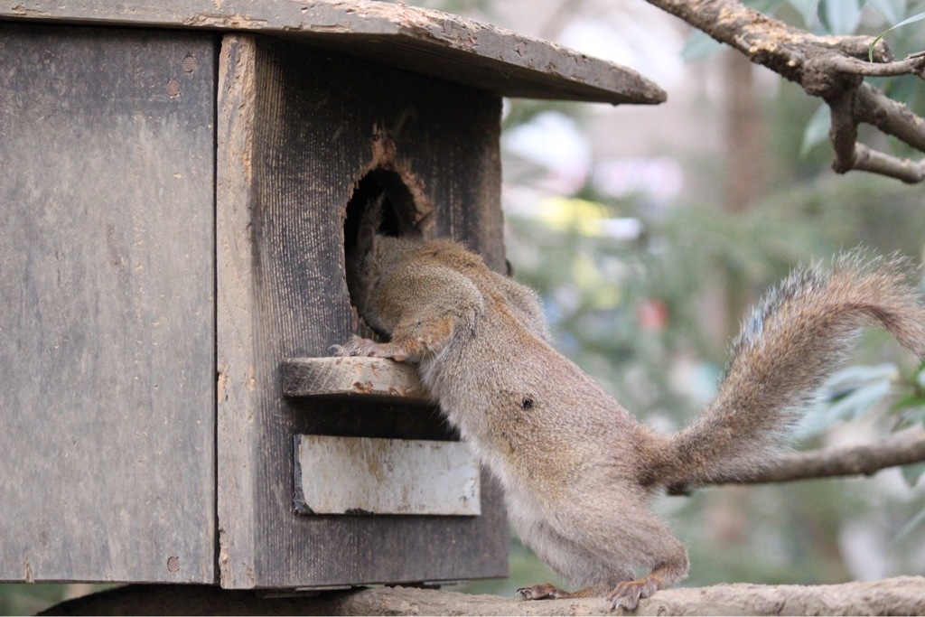 今日の寝床はここで決まりかな〜