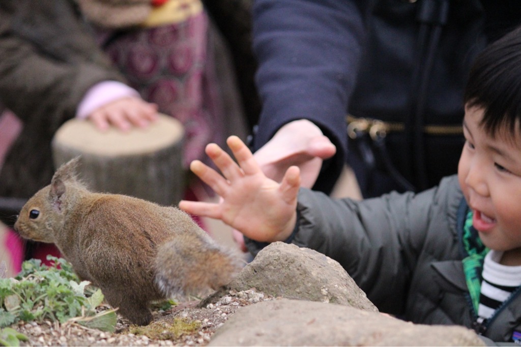 この写真には３つの事象がおきてます