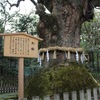 千年の歴史