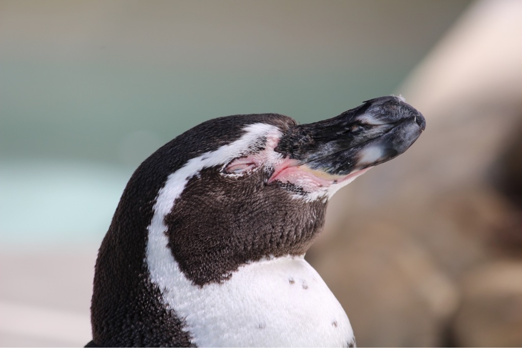 あ〜癒される〜