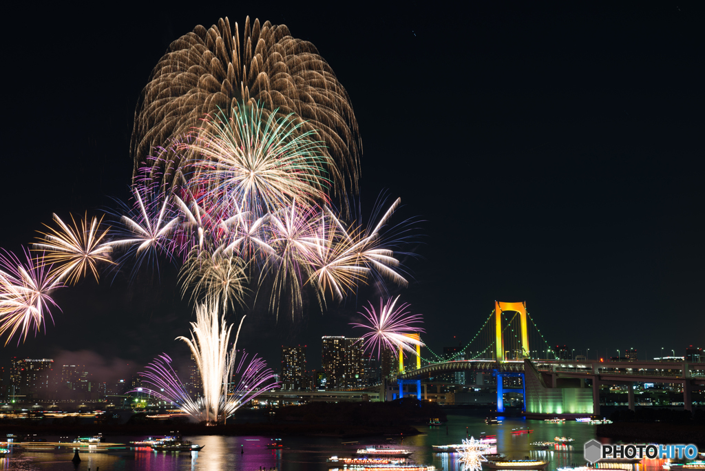 冬の夜に咲く花-比較明合成-