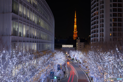 雪のイルミと東京タワー