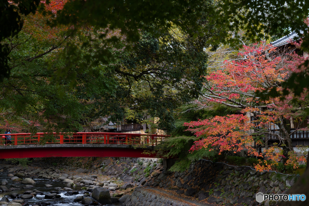 むすばれ橋