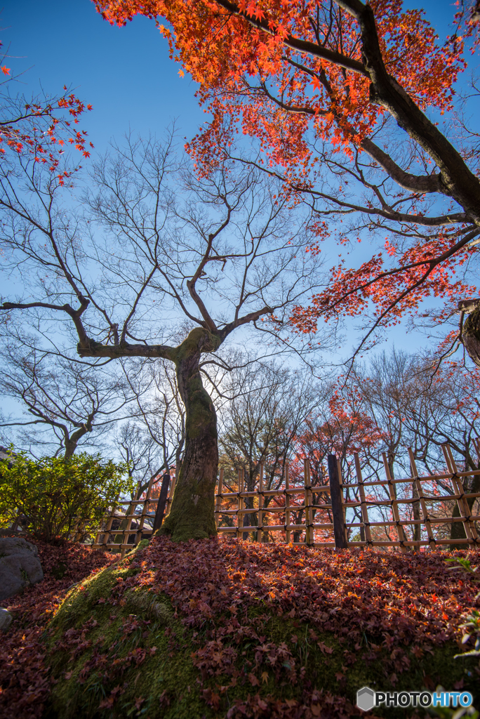 秋と冬のはざまで-HDR-