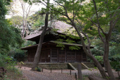 三渓園の古建築