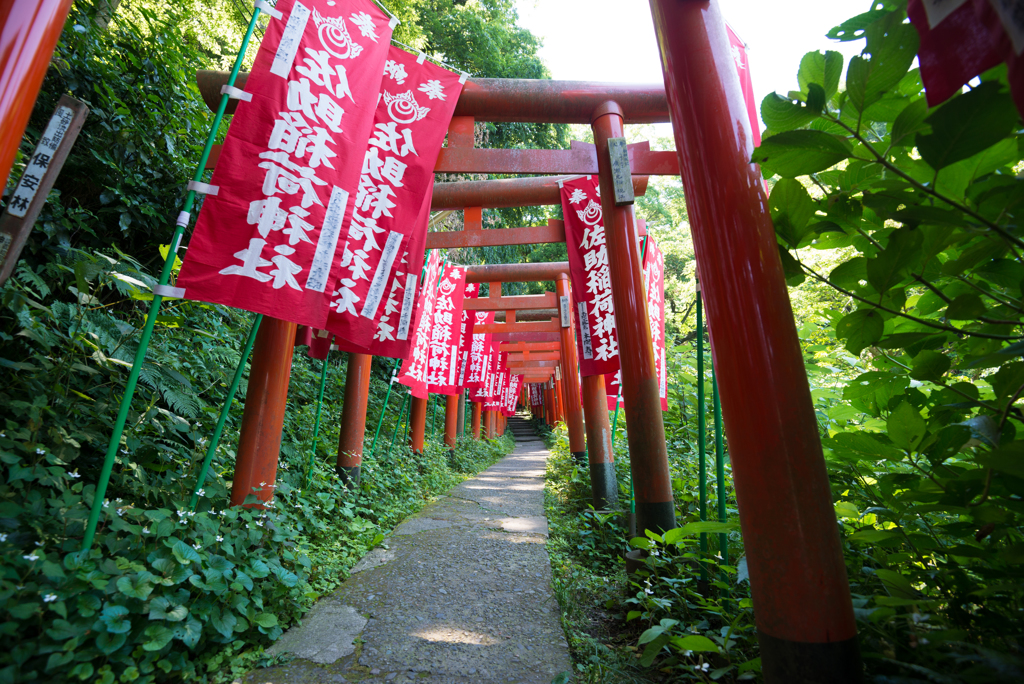 佐助稲荷への道