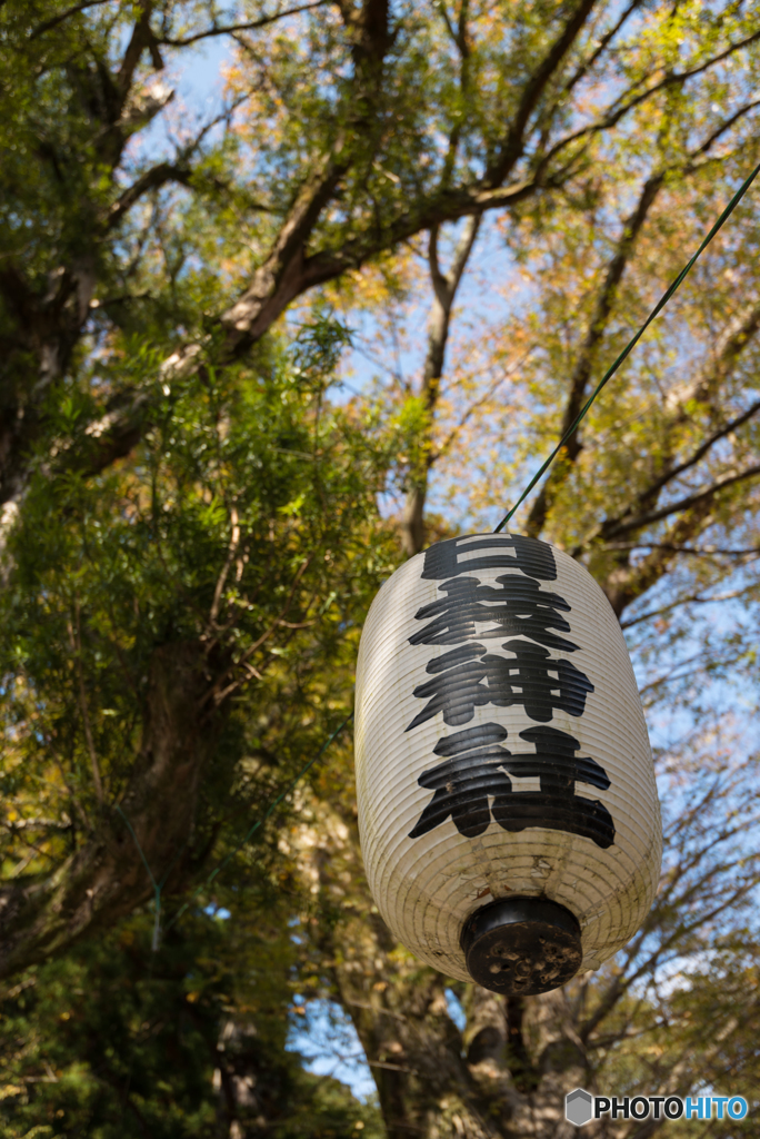 日枝神社