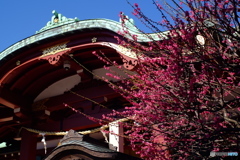 亀戸天神社