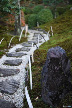 日本庭園の道