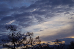 IMGP4558