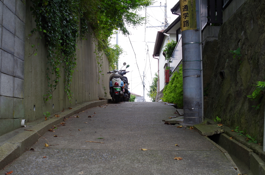 裏通りの坂⑤