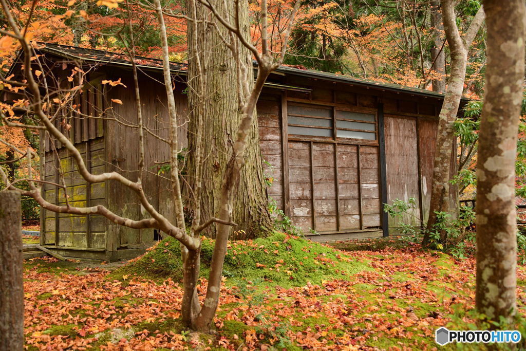 奥津渓の紅葉 7