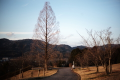 夕景4
