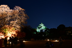 後楽園から見える岡山城（烏城）1