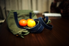 カメラバッグと柿・柚