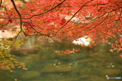 奥津渓の紅葉19_01