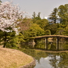 衆楽園と満開の桜