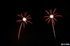 ハウステンボスの花火5