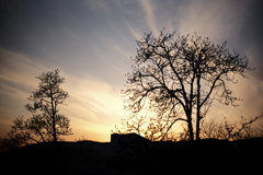 夕景5