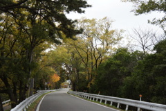 秋の武庫川堤防