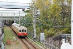 秋の阪神武庫川線