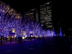 横浜美術館前