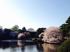 新宿御苑