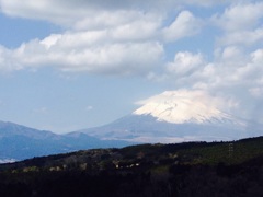 三島スカイウォークから