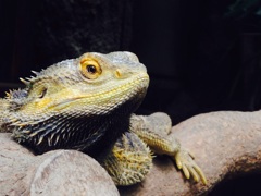 上野動物園にて