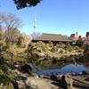 浅草寺庭園