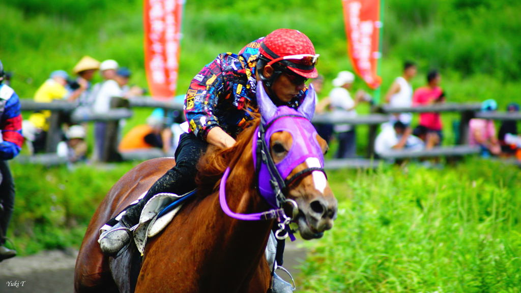 高原の草競馬