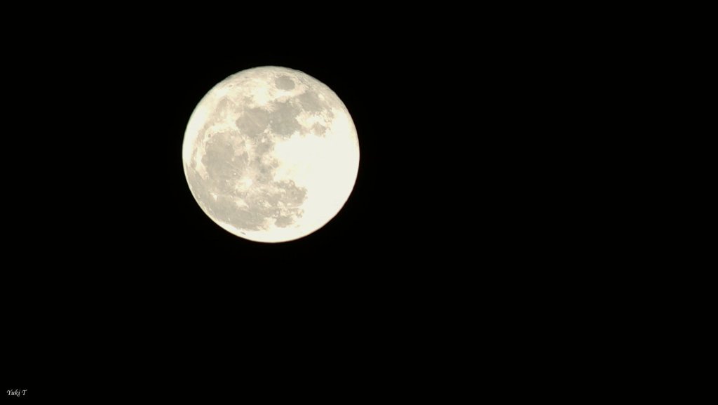 月が綺麗な夜