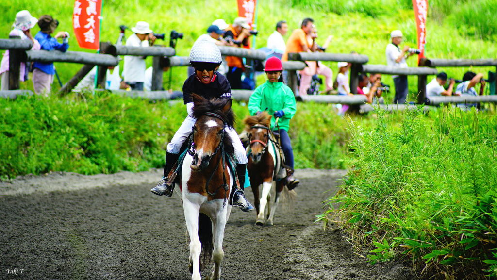 高原の草競馬