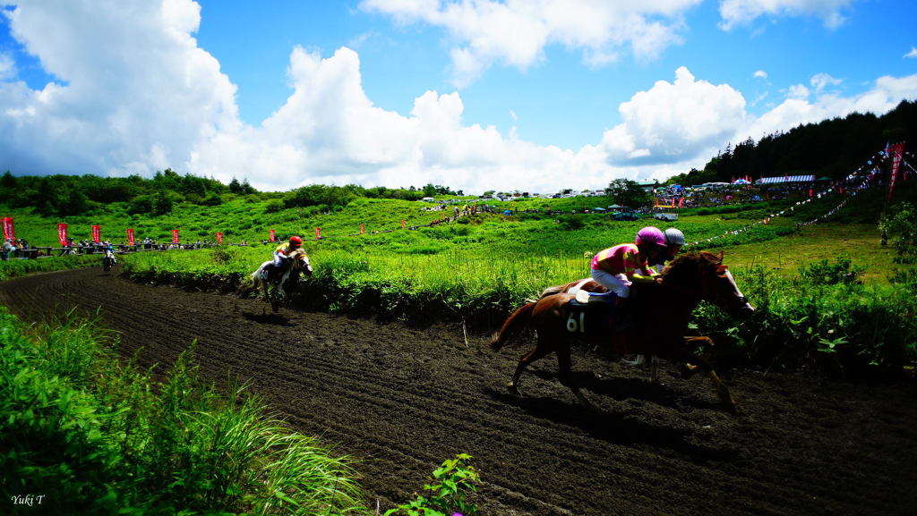 高原の草競馬