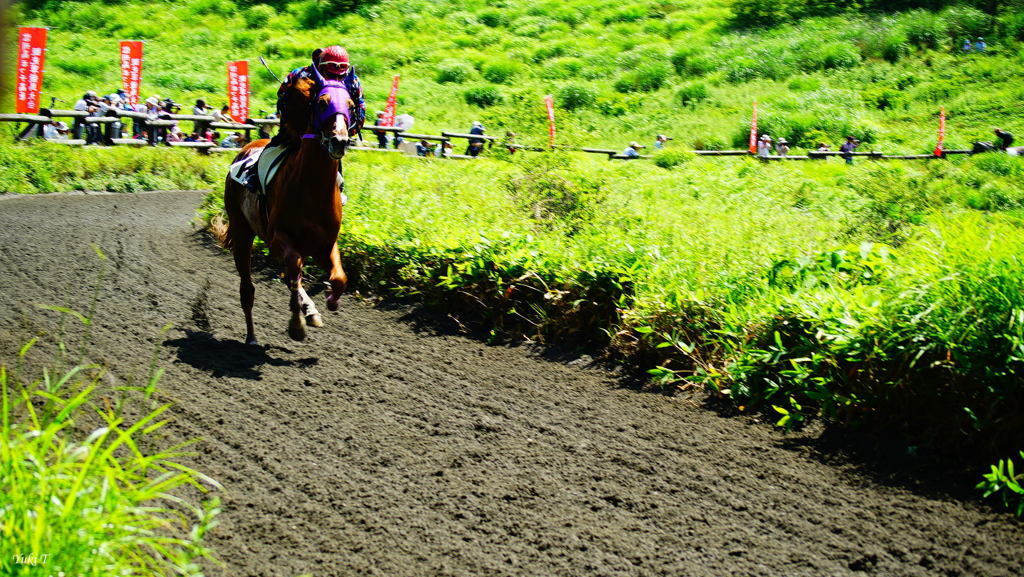 高原の草競馬