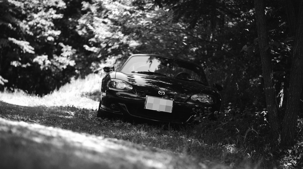 MONOCHROME