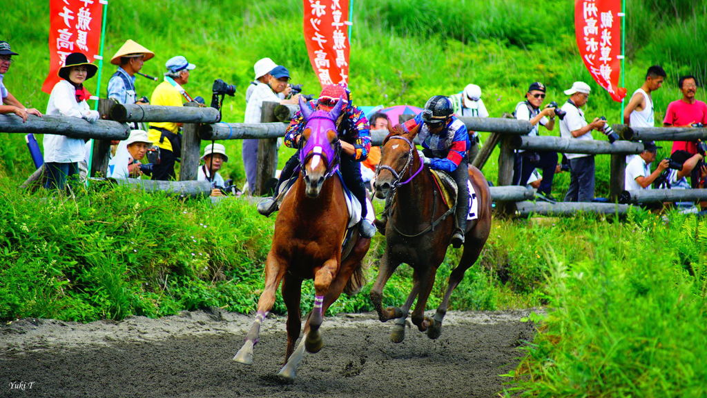 高原の草競馬