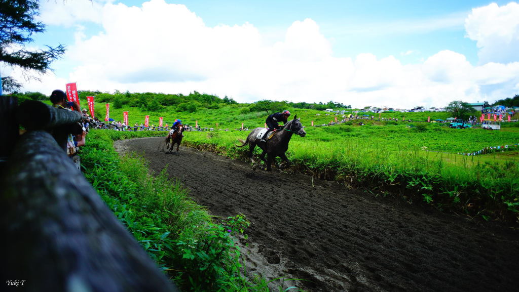 高原の草競馬