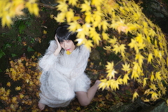 咥えた黄葉