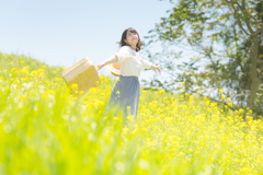 5月の菜の花