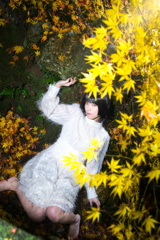 拘束紅葉