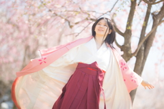 2020 桜