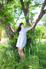 夏はじめ